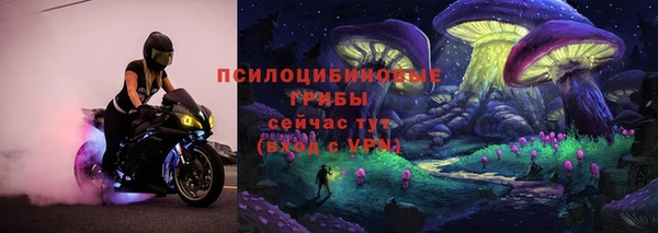 дживик Баксан