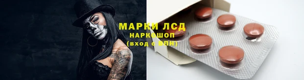 дживик Баксан