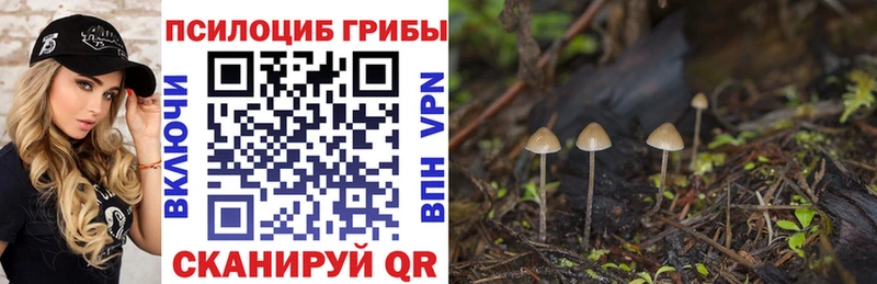 Псилоцибиновые грибы ЛСД Вяземский